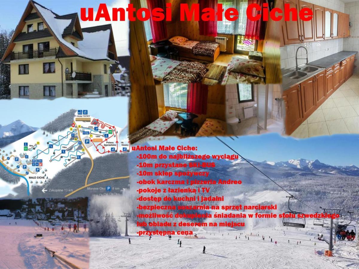 Male Ciche Uantosi, Blisko Wyciag Narciarski, Idealne Miesce Na Wypad W Gory -Rusinowa Polana-Zgorzelisko-Tarasowka-Wiktorowki-Palenica-Gesia Szyja-Morskie Oko Мурзасичле Екстериор снимка